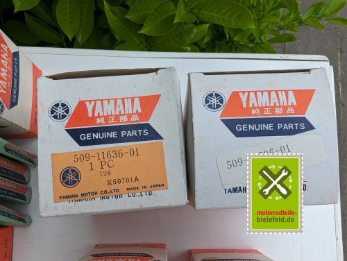PXL_20240517_122749485.MP
